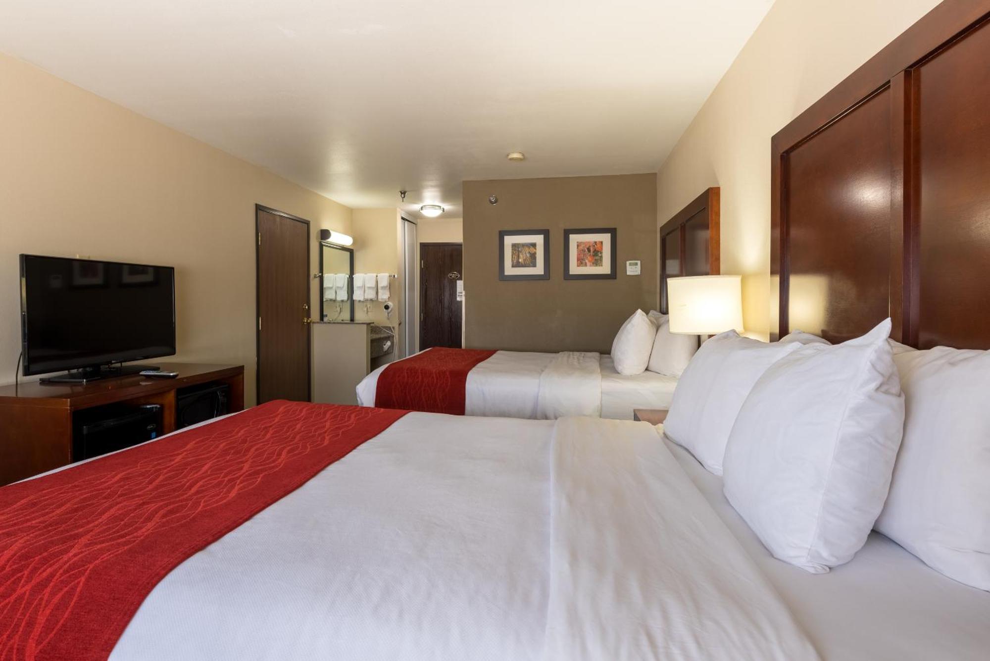 Comfort & Hotel
